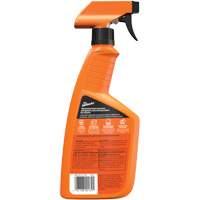 Multi-Purpose Auto Cleaner, 16 oz./473 ml, Trigger Bottle Dufferin Supply