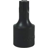 Embout Torx&reg; T-50 Dufferin Supply