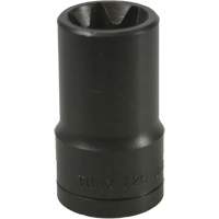 Douille Torx&reg; E-20 Dufferin Supply