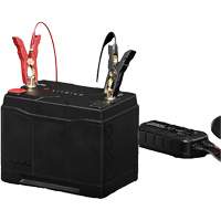 Group 31 120Ah Lithium-Ion LiFePO4 Dual-Purpose Battery Dufferin Supply