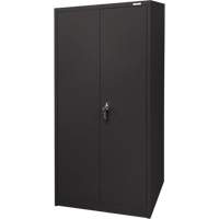 Storage Cabinet, Steel, 4 Shelves, 66" H x 30" W x 15" D, Black Dufferin Supply
