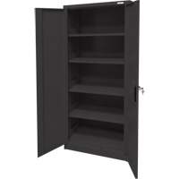 Storage Cabinet, Steel, 4 Shelves, 66" H x 30" W x 15" D, Black Dufferin Supply