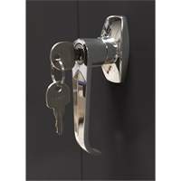 Storage Cabinet, Steel, 4 Shelves, 66" H x 30" W x 15" D, Black Dufferin Supply