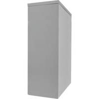 Counter-High Storage Cabinet, Steel, 2 Shelves, 42" H x 48" W x 24" D, Grey Dufferin Supply