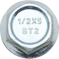 Wedge Bolts, Carbon Steel, 1/2" x 2" Dufferin Supply