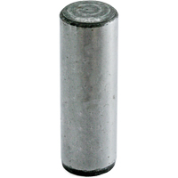 Tenon de guidage, Ordinaire, 1-1/2" lo, 1/4" Dia. Dufferin Supply