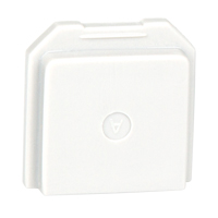 BW Gas Detector Dummy Sensor for Toxic Location Dufferin Supply