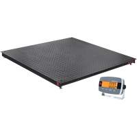 Balance de plancher DEFENDER 3000, Capacit&eacute; de 2500 lb, 48" la x 48" lo Dufferin Supply