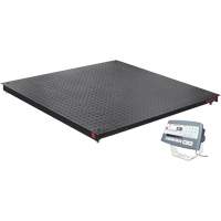 Balance de plancher DEFENDER 5000, Capacit&eacute; de 2500 lb, 48" la x 48" lo Dufferin Supply