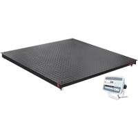 Balance de plancher DEFENDER 5000, Capacit&eacute; de 5000 lb, 48" la x 48" lo Dufferin Supply