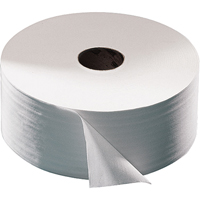 Advanced Toilet Paper, Jumbo Roll, 2 Ply, 751' Length, White Dufferin Supply