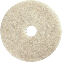 Floor Maintenance Pads, 21", Burnishing, Brown Dufferin Supply