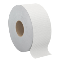 Papier hygi&eacute;nique Pro Select, Rouleau G&eacute;ant, 2 Pli, Longueur 500', Blanc Dufferin Supply