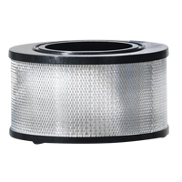 Filtre pour aspirateur humide/sec, Hepa, Pour 8 - 11 gal US Dufferin Supply