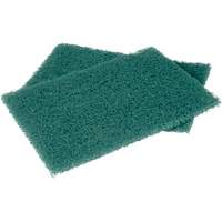 Scotch-Brite Hand Pads, Scrubbing, 6" W x 9" L Dufferin Supply