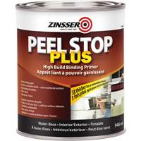 Paints & Coatings