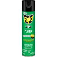 Insecticide pour insectes domestiques Raid, 350 g, &agrave; base de solvant Dufferin Supply