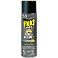 Raid<sup>®</sup> Max<sup>®</sup> Spider Blaster Bug Killer Insecticide, 500 g, Aerosol Can, Solvent Base JM270 | Dufferin Supply