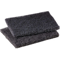 Tampon de polissage pour plaque de cuisson Scotch-Brite, 4" lo x 5" la Dufferin Supply