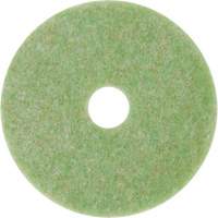 Tampon de m&eacute;lange naturel, 12", &agrave; r&eacute;curer, Vert Dufferin Supply