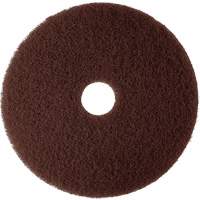 Tampon de m&eacute;lange naturel, 12", D&eacute;capant, Brun Dufferin Supply