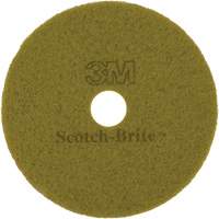 Tampon pour planchers TopLine Speed, 17", Brunissage, Brun Dufferin Supply