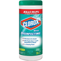Disinfecting Wipes, 35 Count Dufferin Supply