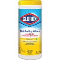 Disinfecting Wipes, 35 Count Dufferin Supply