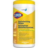 Disinfecting Wipes, 75 Count Dufferin Supply