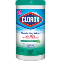 Disinfecting Wipes, 75 Count Dufferin Supply