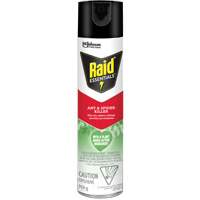 Raid<sup>®</sup> Essentials™ Ant & Spider Killer, 350 g, Aerosol Can JP467 | Dufferin Supply