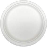 Molded Fiber Disposable Plates Dufferin Supply