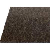 Tapis dint&eacute;rieur Palliser, Essuie-pieds/grattoir, 3-1/2' x 6' x 5/16", Anglis Dufferin Supply