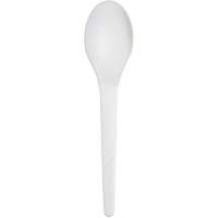 Plantware Renewable and Compostable Spoon Dufferin Supply