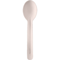 Bagasse Compostable Spoons JQ132 | Dufferin Supply
