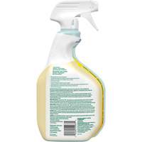 CloroxPro Clorox EcoClean All-Purpose Cleaner, 946 ml, Trigger Bottle Dufferin Supply