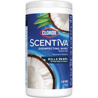 Disinfecting Wipes, 75 Count Dufferin Supply