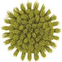 Brosse ronde HyDrive pour perceuse, Soies Tr&egrave;s ferme, Longueur de 3-1/10", Jaune Dufferin Supply