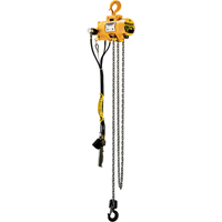 Budgit&reg; Air Chain Hoists Dufferin Supply