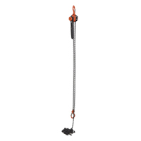 Mini palan &agrave; levier, Lev&eacute;e 15', Cabacit&eacute; 1000 lb (0,5 tonne), Chaîne en Acier Dufferin Supply