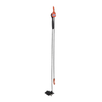 Mini palan &agrave; levier, Lev&eacute;e 15', Cabacit&eacute; 1000 lb (0,5 tonne), Chaîne en Acier Dufferin Supply