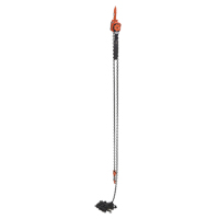 Mini palan &agrave; levier, Lev&eacute;e 20', Cabacit&eacute; 1000 lb (0,5 tonne), Chaîne en Acier Dufferin Supply
