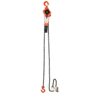 Lever Chain Hoist, 5' Lift, 3000 lbs. (1.5 tons) Capacity, Alloy Steel Chain Dufferin Supply