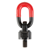 Anneaux de treuil de levage pivotant, 1/4", Longueur du filetage 13 mm, Acier alli&eacute; Dufferin Supply