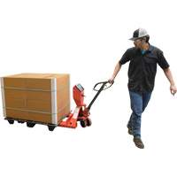 Pallet Truck, 48" L x 27.5" W, 5000 lbs. Cap. Dufferin Supply