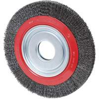 Crimped Wire Wheel, 6" Dia., 0.007" Fill, 2"/1/2" - 5/8" Arbor Dufferin Supply