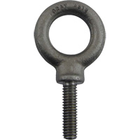 Boulon &agrave; oeil en acier alli&eacute;, 1" dia, 1-1/4" lo, 1480 lb (0,74 tonnes)/1480 lb capacit&eacute; Dufferin Supply