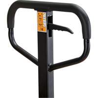 Transpalette manuel, Acier, 48" lo x 21" la, Capacit&eacute; 5500 lb Dufferin Supply