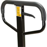 Transpalette manuel, Acier, 48" lo x 27" la, Capacit&eacute; 5500 lb Dufferin Supply