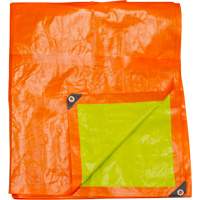 B&acirc;che tiss&eacute;e robuste haute visibilit&eacute;, Poly&eacute;thyl&egrave;ne, Vert/Orange, 16' x 20' x 12 mils Dufferin Supply